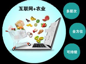 農(nóng)產(chǎn)品觸網(wǎng) 互聯(lián)網(wǎng)時(shí)代，誰是下一個(gè)超級代言人？