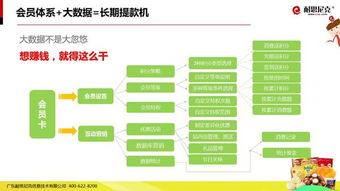 食品互聯(lián)網(wǎng)銷售新紀(jì)元 49頁P(yáng)PT深度解析營銷解決方案